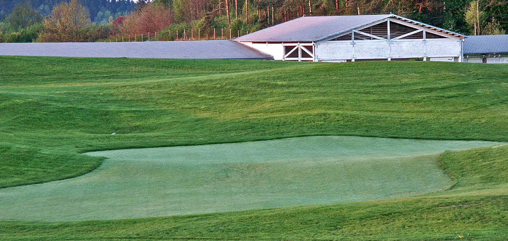 Budowa greenu golfowego: 5. Obsiany, gotowy putting green wraz z green approaches w fazie wzrostu traw (wykształcanie się darni).